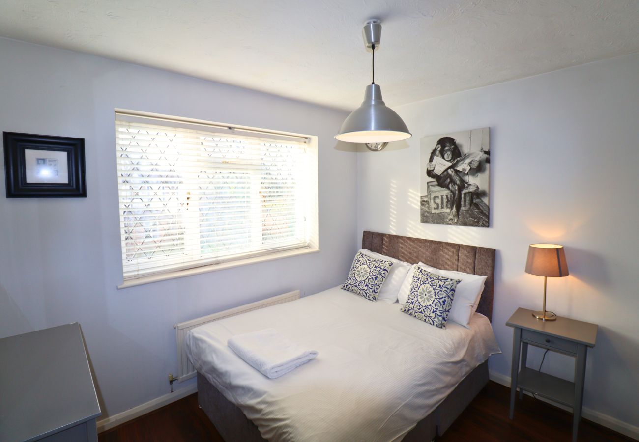 House in Binfield - Binfield: Spacious Spectacular Four Bedroom House 