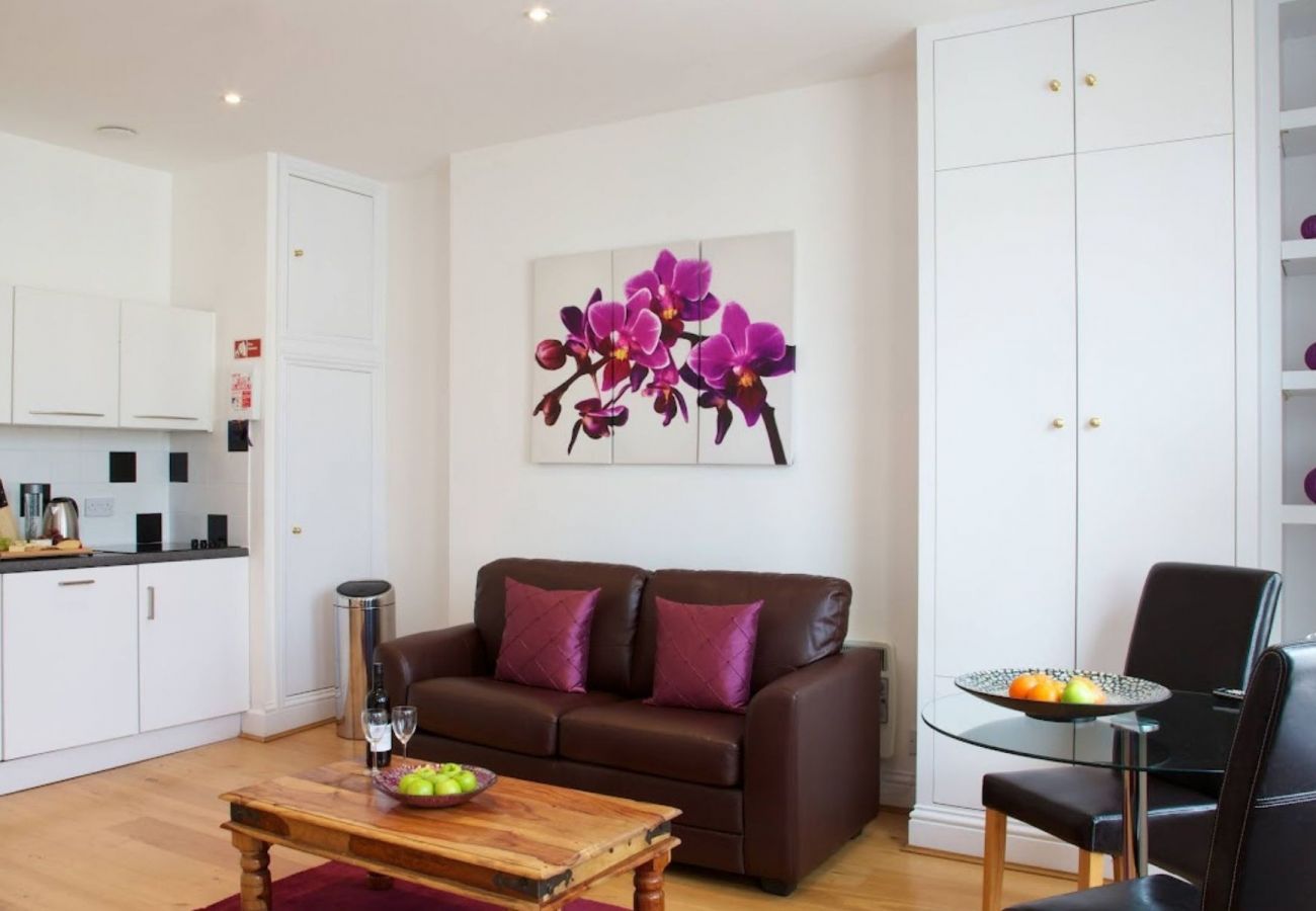 Apartment in London - Earl's Court Gorgeous One Bedroom Apartment 