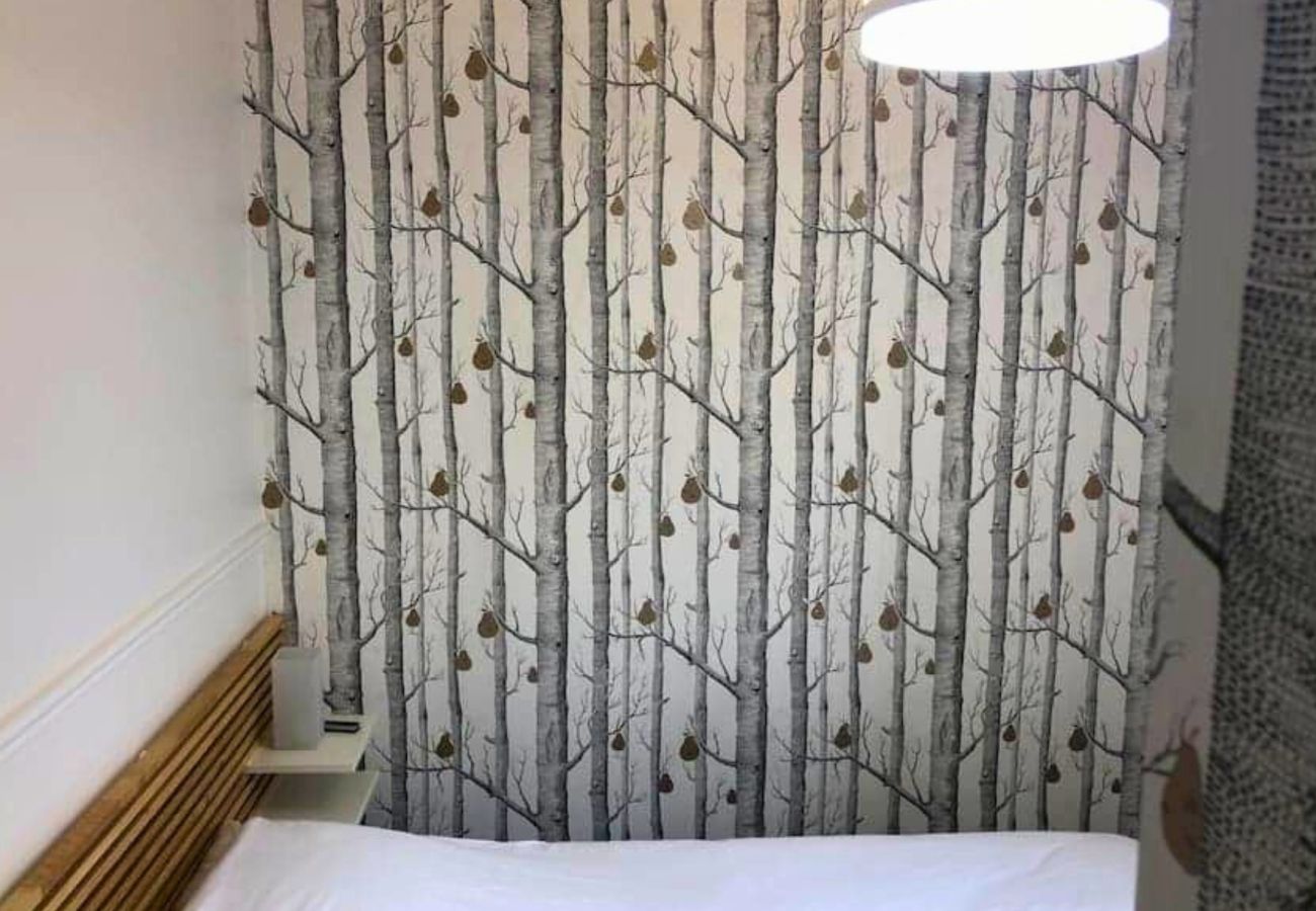 Apartment in La Plaine-Saint-Denis - Saint-Denis Fellini 