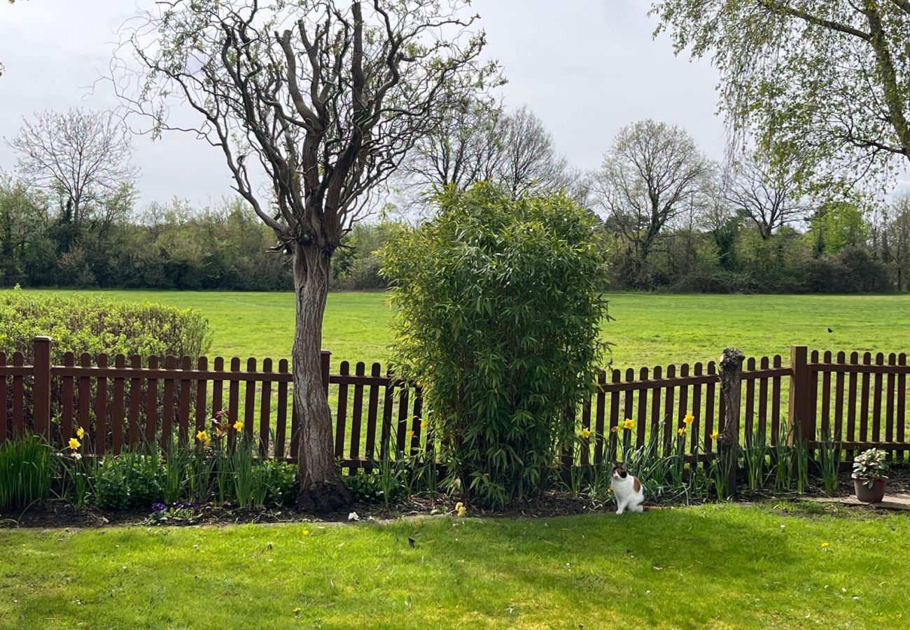 House in Windsor - Spacious 3-Bed House Winkfield | Parking