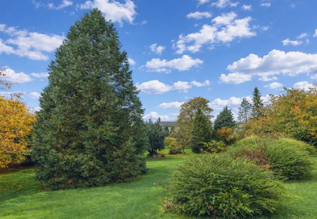 House in Calton Moor - Calton Moor 4 Bed Home