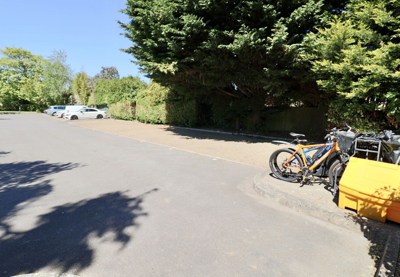 Apartment in Ascot - Ascot 2 Bedroom Apartment with Parking