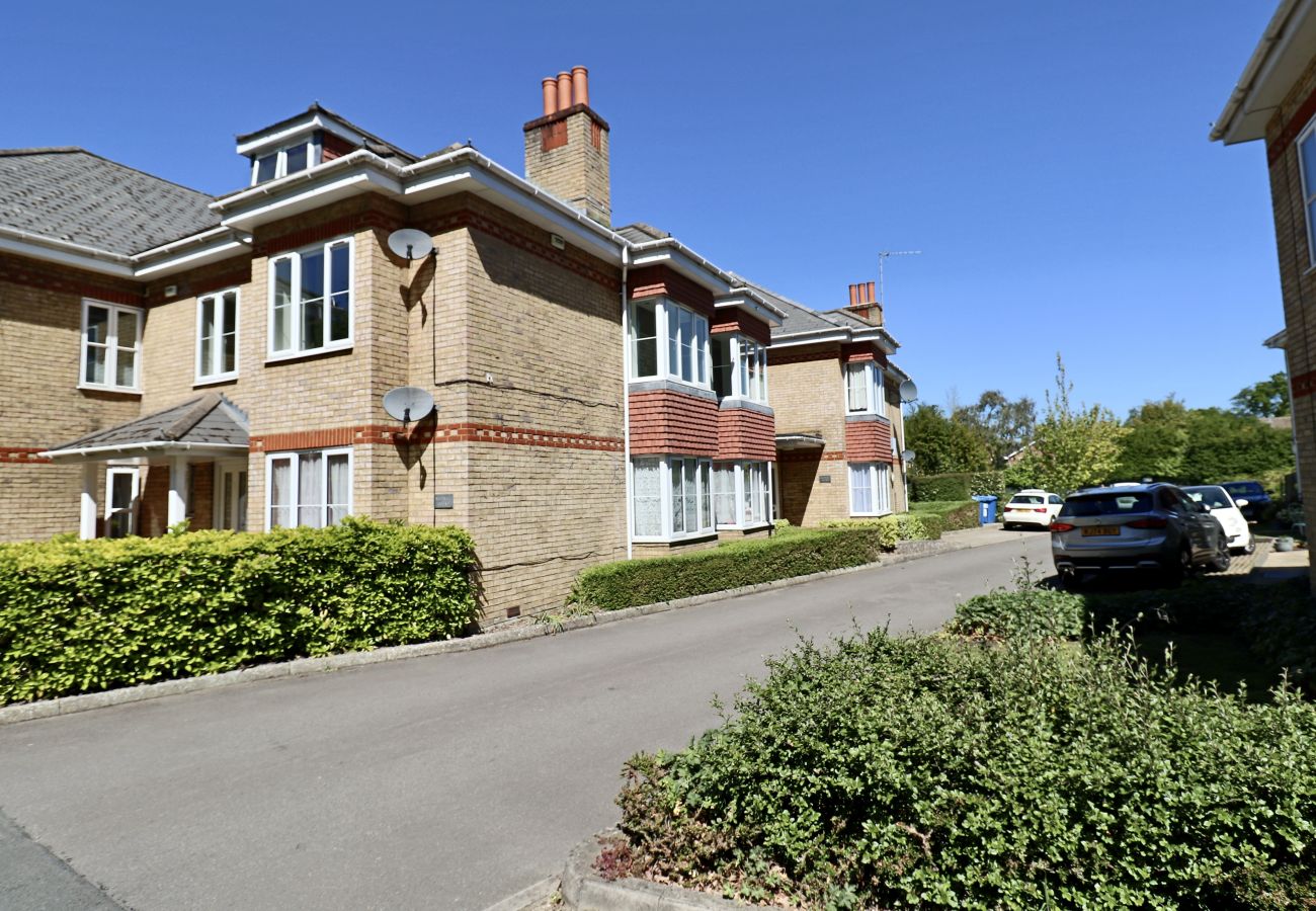 Apartment in Ascot - Ascot 2 Bedroom Apartment with Parking
